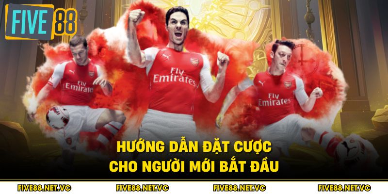 Hướng dẫn đặt cược cho người mới bắt đầu
